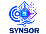 SYNSOR INNOVATION PRIVATE LIMITED