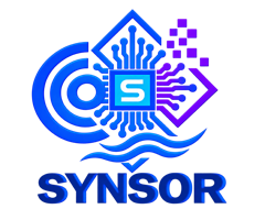 SYNSOR INNOVATION PRIVATE LIMITED